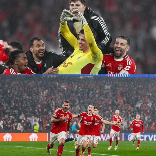 mOZ - 2026-01-29T124647.988