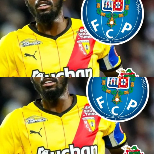 mOZ - 2026-01-29T125136.642