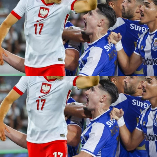 mOZ - 2026-01-29T125426.395