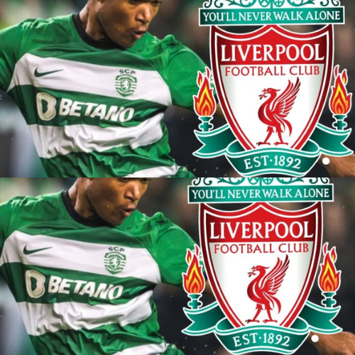 mOZ - 2026-01-30T135932.991