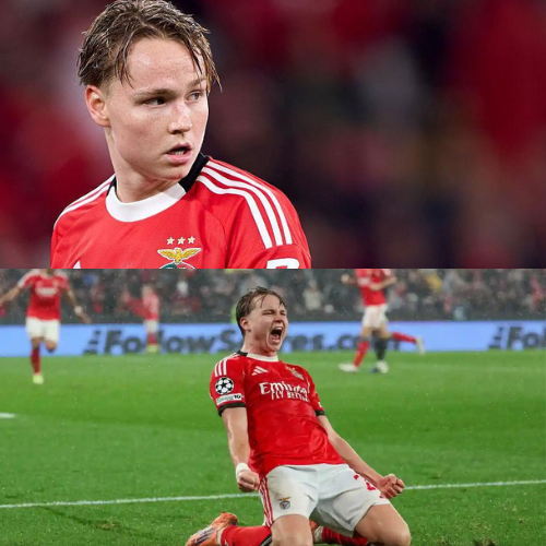 mOZ - 2026-01-30T140746.976