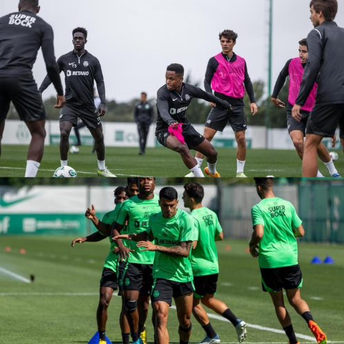 mOZ - 2026-01-31T164438.111