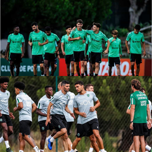 mOZ - 2026-01-31T165134.483