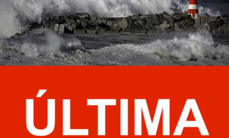 Design-sem-nome-2026-02-20T000133.563-780x470