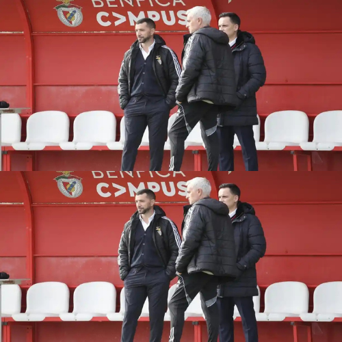 mOZ - 2026-02-01T125255.218