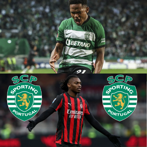 mOZ - 2026-02-01T130643.057