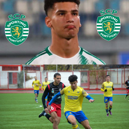 mOZ - 2026-02-01T131137.865