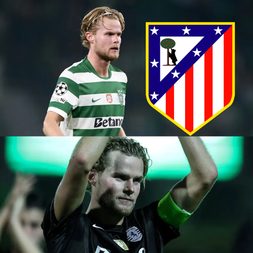 mOZ - 2026-02-03T095049.169