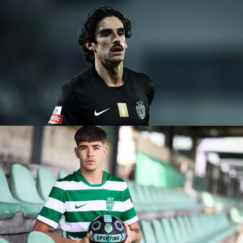 mOZ - 2026-02-03T095321.686