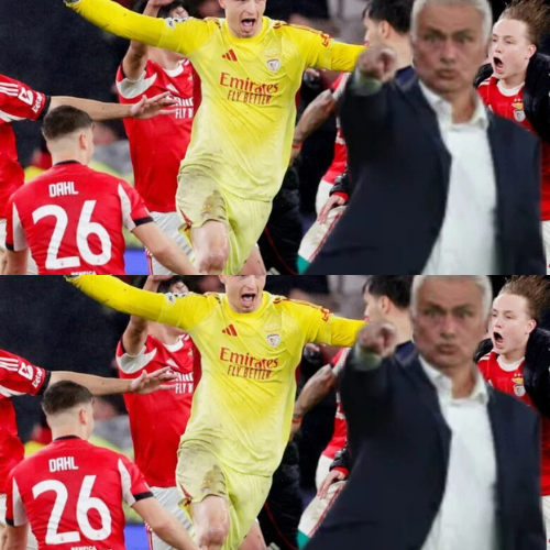 mOZ - 2026-02-03T095600.483