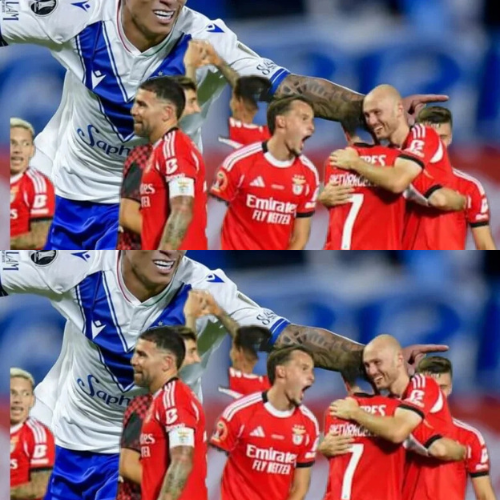 mOZ - 2026-02-03T095735.230