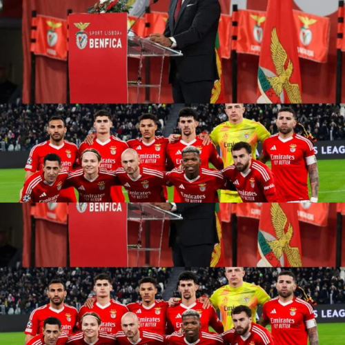 mOZ - 2026-02-03T095913.648