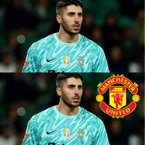 mOZ - 2026-02-07T093633.424