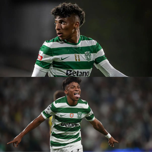 mOZ - 2026-02-07T093909.628