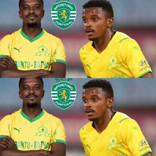 mOZ - 2026-02-10T225109.870