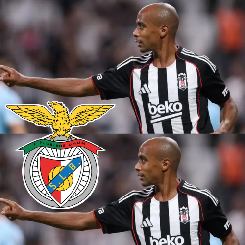 mOZ - 2026-02-10T230007.003