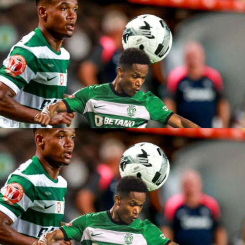 mOZ - 2026-02-11T094915.171