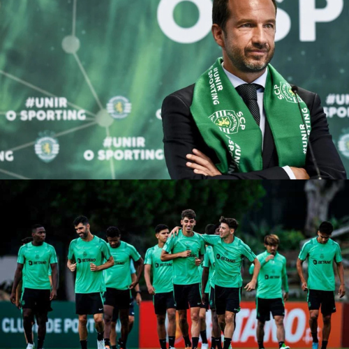 mOZ - 2026-02-11T122814.341