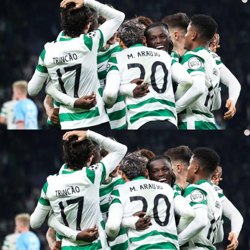 mOZ - 2026-02-11T123232.001