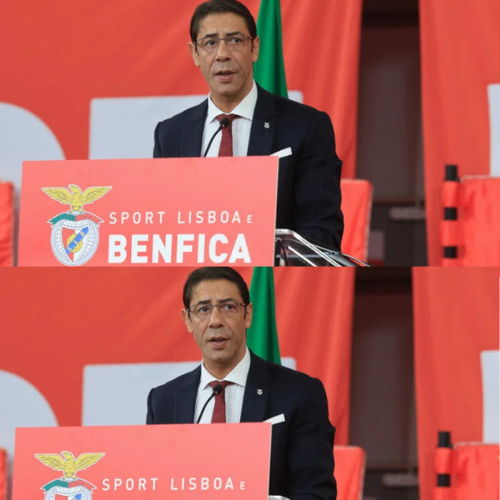 mOZ - 2026-02-11T123836.279