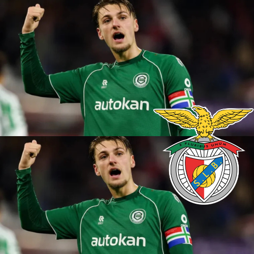 mOZ - 2026-02-11T124212.995