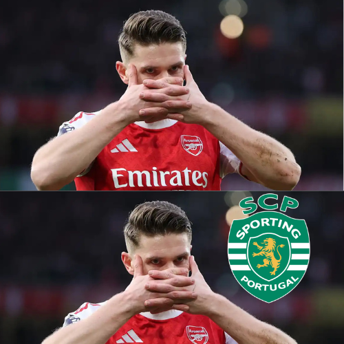 mOZ - 2026-02-11T225758.115