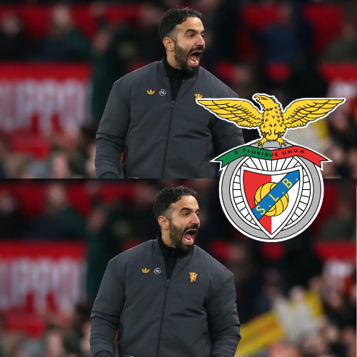 mOZ - 2026-02-11T230846.494