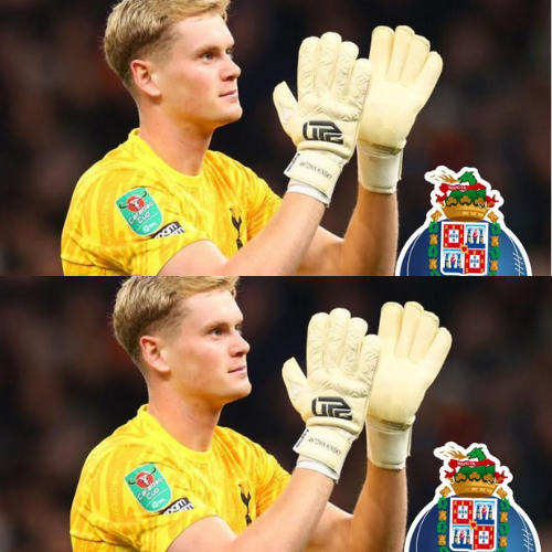 mOZ - 2026-02-11T231241.959