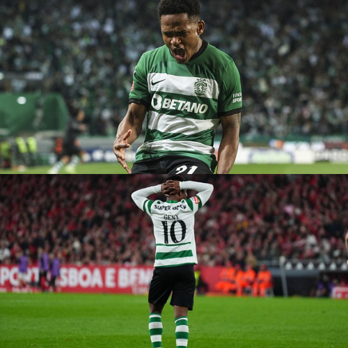 mOZ - 2026-02-12T132919.809