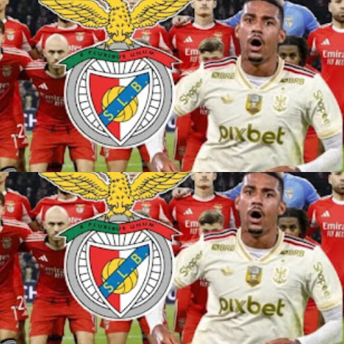 mOZ - 2026-02-12T134304.903