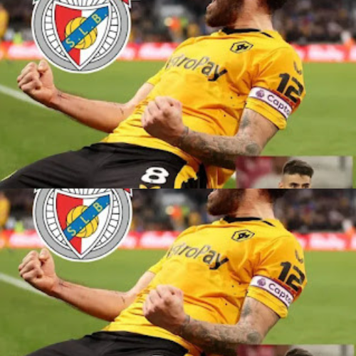 mOZ - 2026-02-13T155317.946