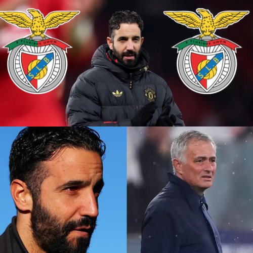 mOZ - 2026-02-15T110120.811