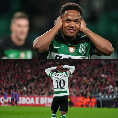 mOZ - 2026-02-15T112410.062