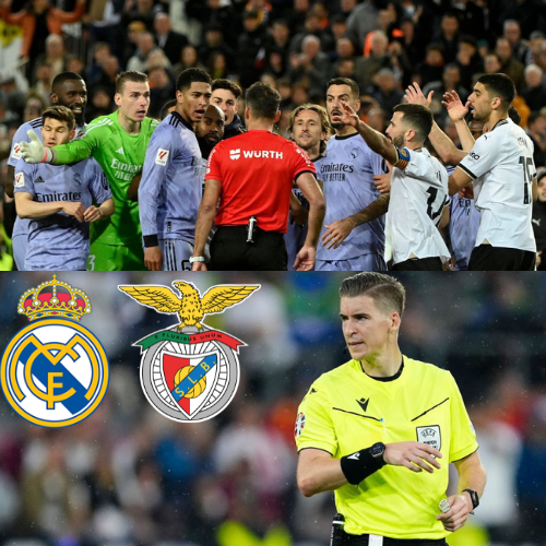 mOZ - 2026-02-15T230724.988