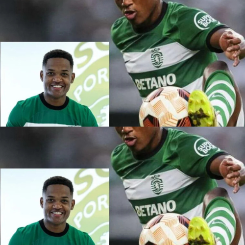 mOZ - 2026-02-16T152826.928