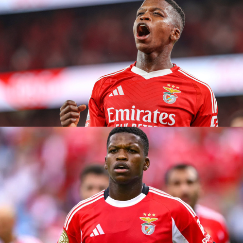 mOZ - 2026-02-16T155439.770