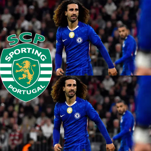 mOZ - 2026-02-24T094912.875