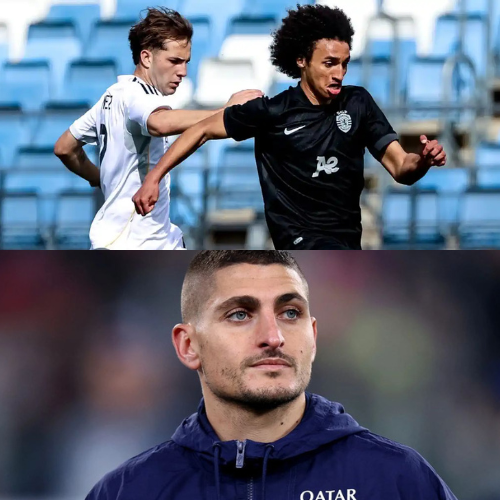 mOZ - 2026-04-07T103755.759