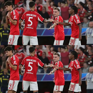 mOZ (17) (1)