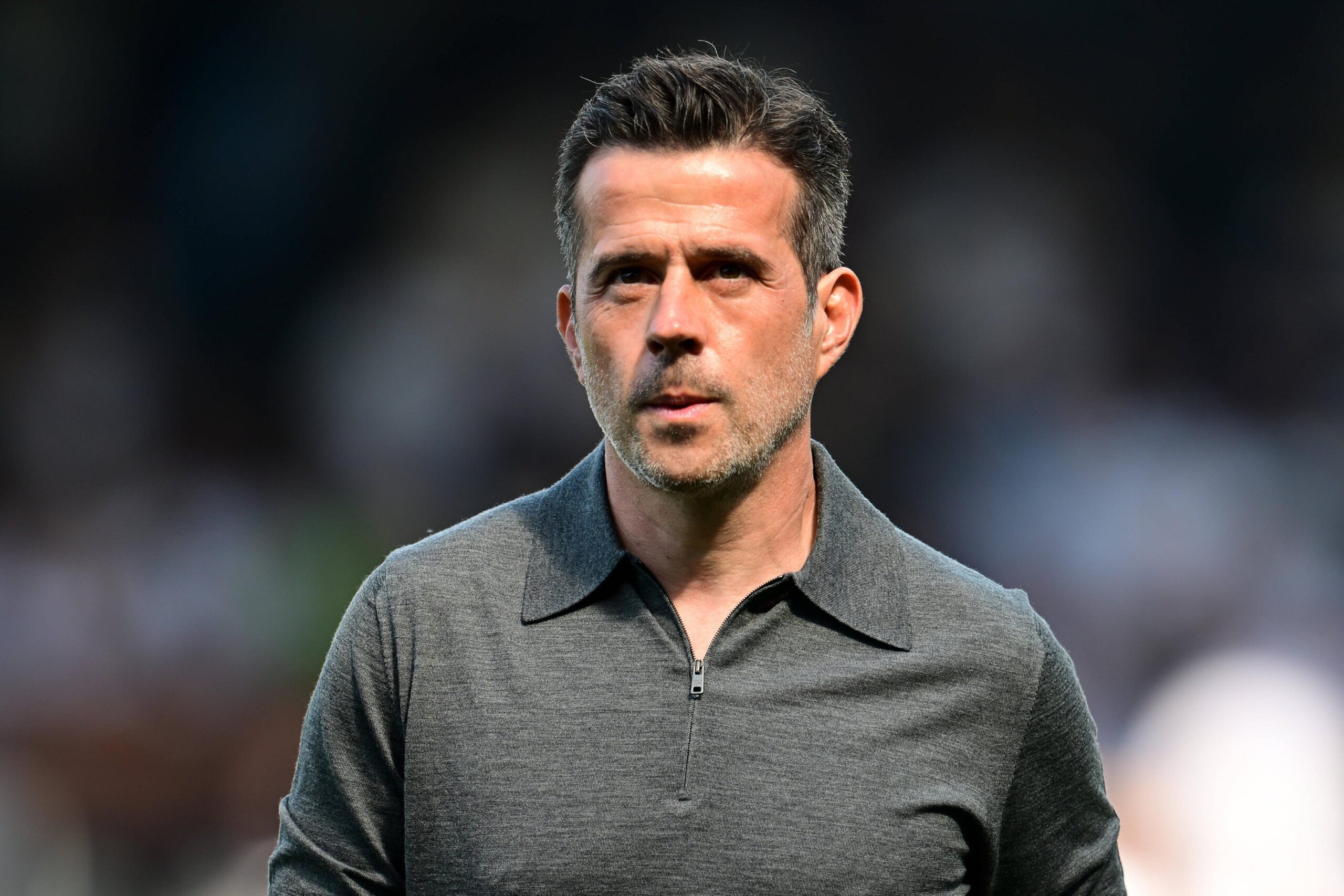 Fulham v Newcastle United, Premier League